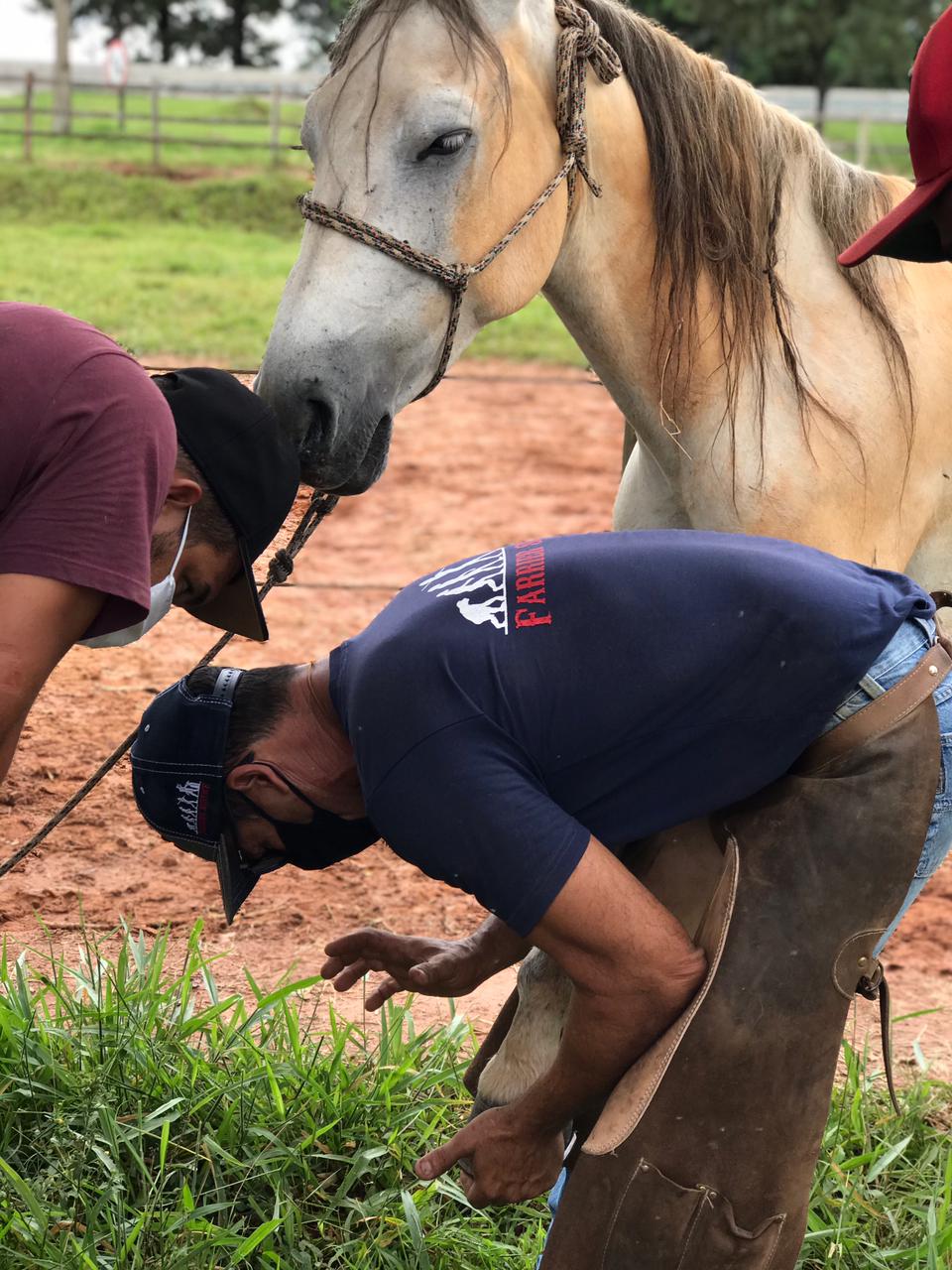 WhatsApp Image 2021-04-30 at 15.57.15.jpeg