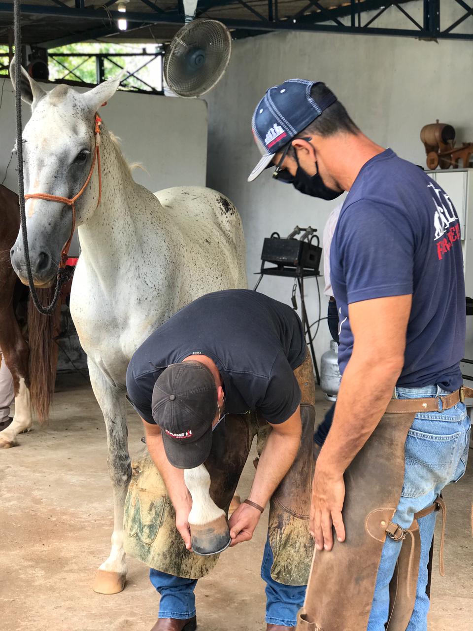 WhatsApp Image 2021-04-30 at 15.57.18 (1).jpeg