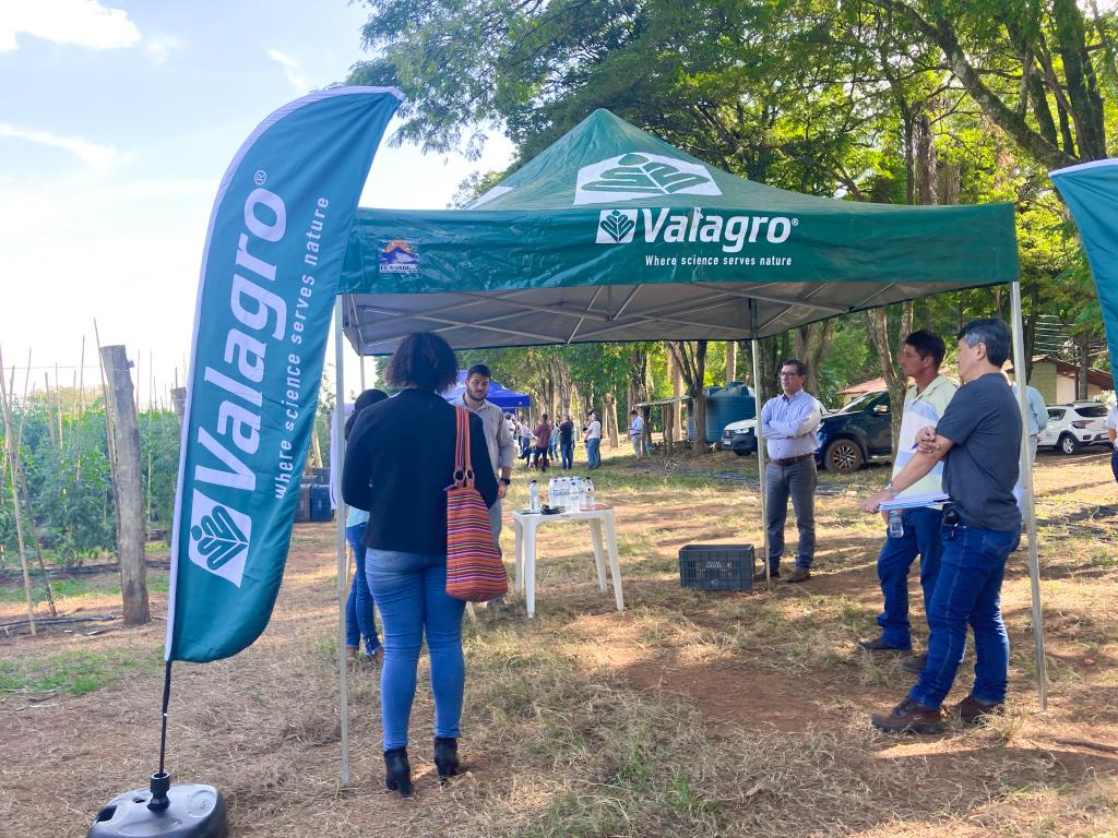 66c752d3-6d35-4086-8c94-cfb0a8a6eb64.jfif